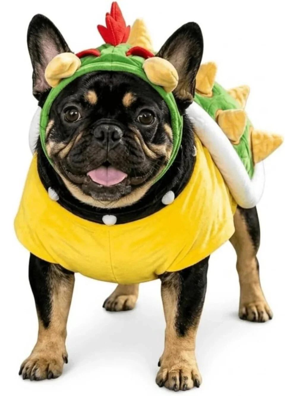 Green Halloween Dog Costume for Photoshoots, Parties, Weddings & Everyday Wear